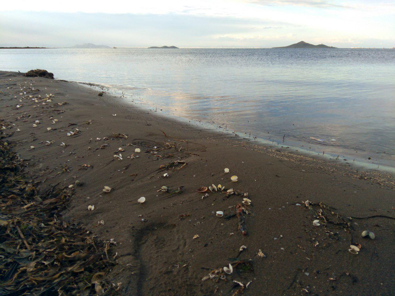 La agroecología es la solución para el Mar Menor CGT Murcia